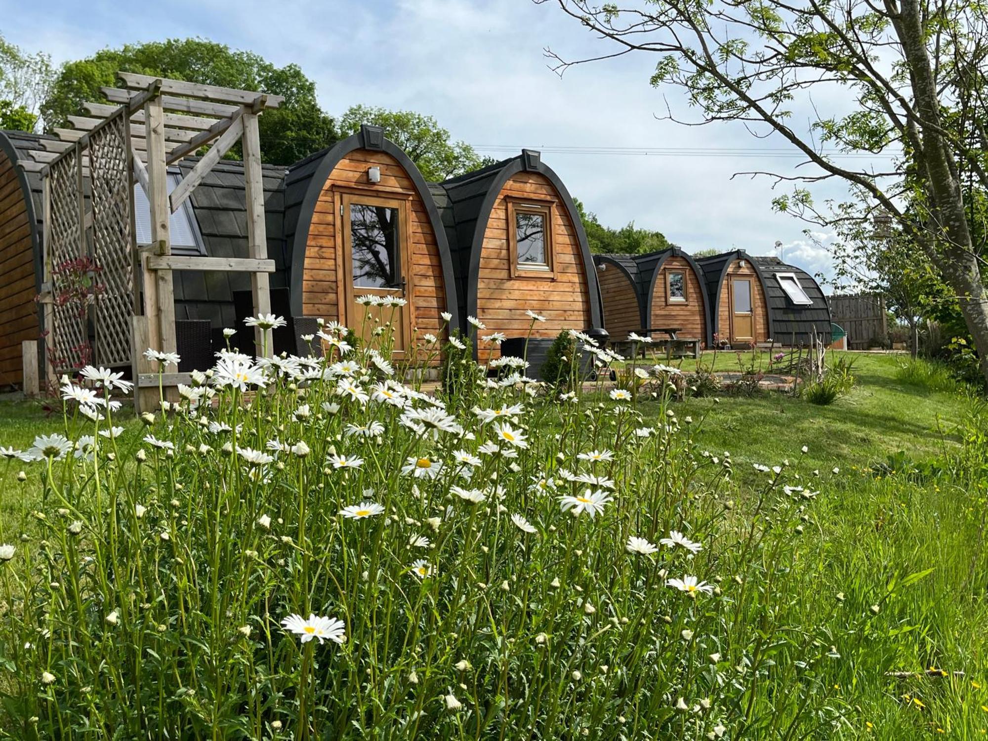 Hotel Hedgehog Glamping Pod School House Farm à Leighton  Extérieur photo
